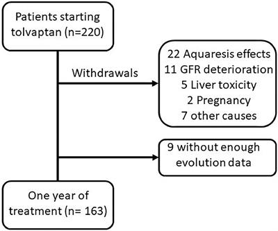 Real clinical experience after one year of treatment with tolvaptan in patients with autosomal dominant polycystic kidney disease